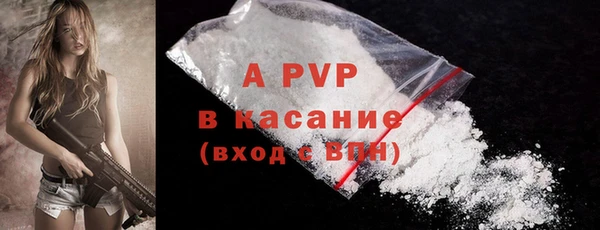 a pvp Горняк