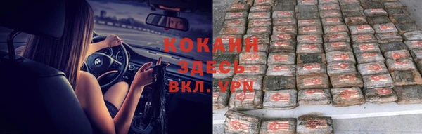a pvp Горняк