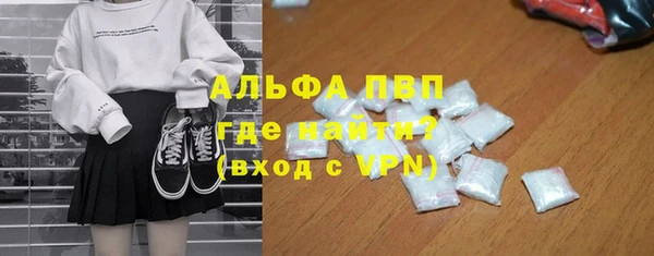 шишки Горно-Алтайск