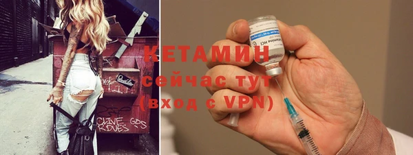 шишки Горно-Алтайск