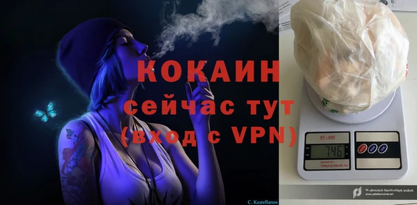 шишки Горно-Алтайск