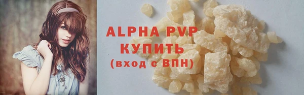 шишки Горно-Алтайск