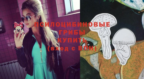 шишки Горно-Алтайск