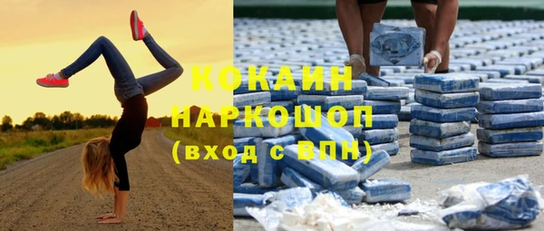 a pvp Горняк