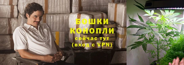 шишки Горно-Алтайск