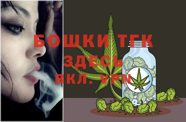 шишки Горно-Алтайск