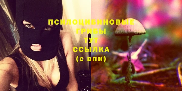 шишки Горно-Алтайск